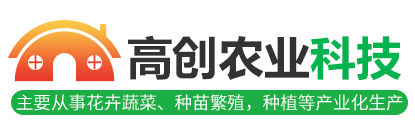 賽強(qiáng)二手化工設(shè)備logo